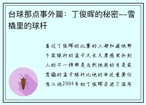 台球那点事外篇：丁俊晖的秘密--雪橇里的球杆